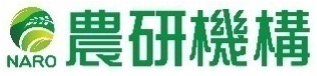 Article content