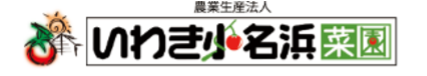 Article content